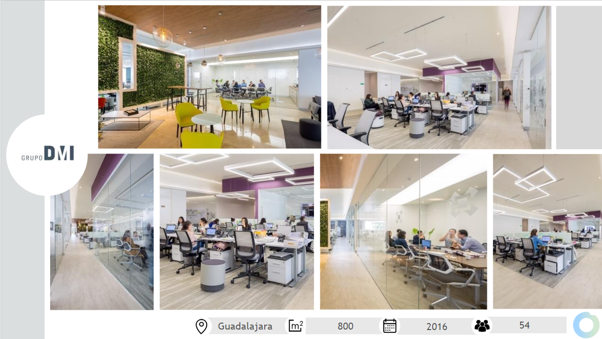 Gurpo DMI Proyecto en Guadalajara