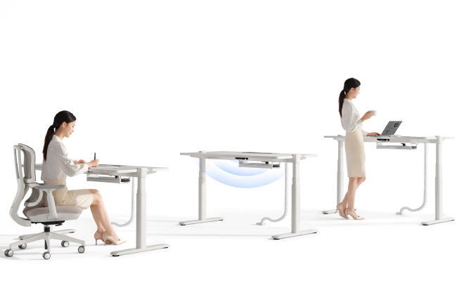 Ergonomic Task Chair